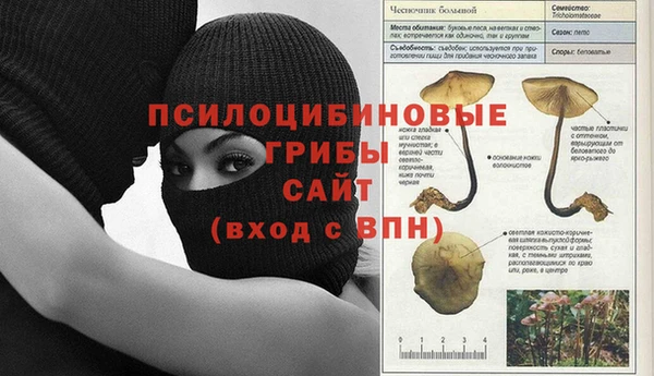 a pvp Арсеньев