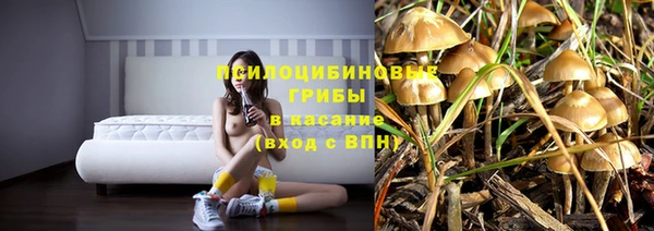 a pvp Арсеньев