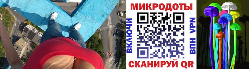 Псилоцибиновые грибы мухоморы  где можно купить   Сунжа 