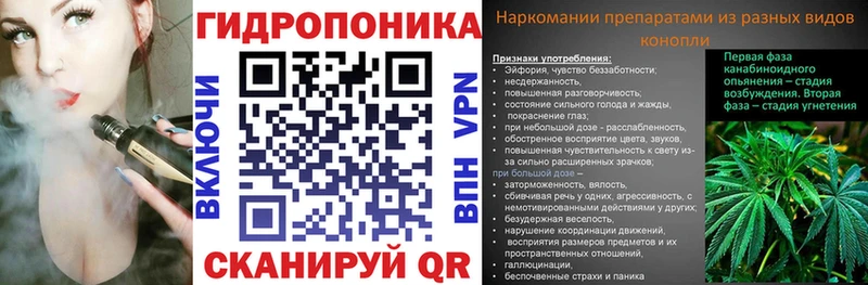 Канабис THC 21% Сунжа